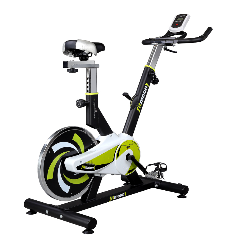 bh fitness spin bike